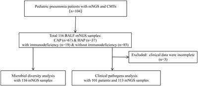 Utilizing metagenomic next-generation sequencing for diagnosis and lung microbiome probing of pediatric pneumonia through bronchoalveolar lavage fluid in pediatric intensive care unit: results from a large real-world cohort